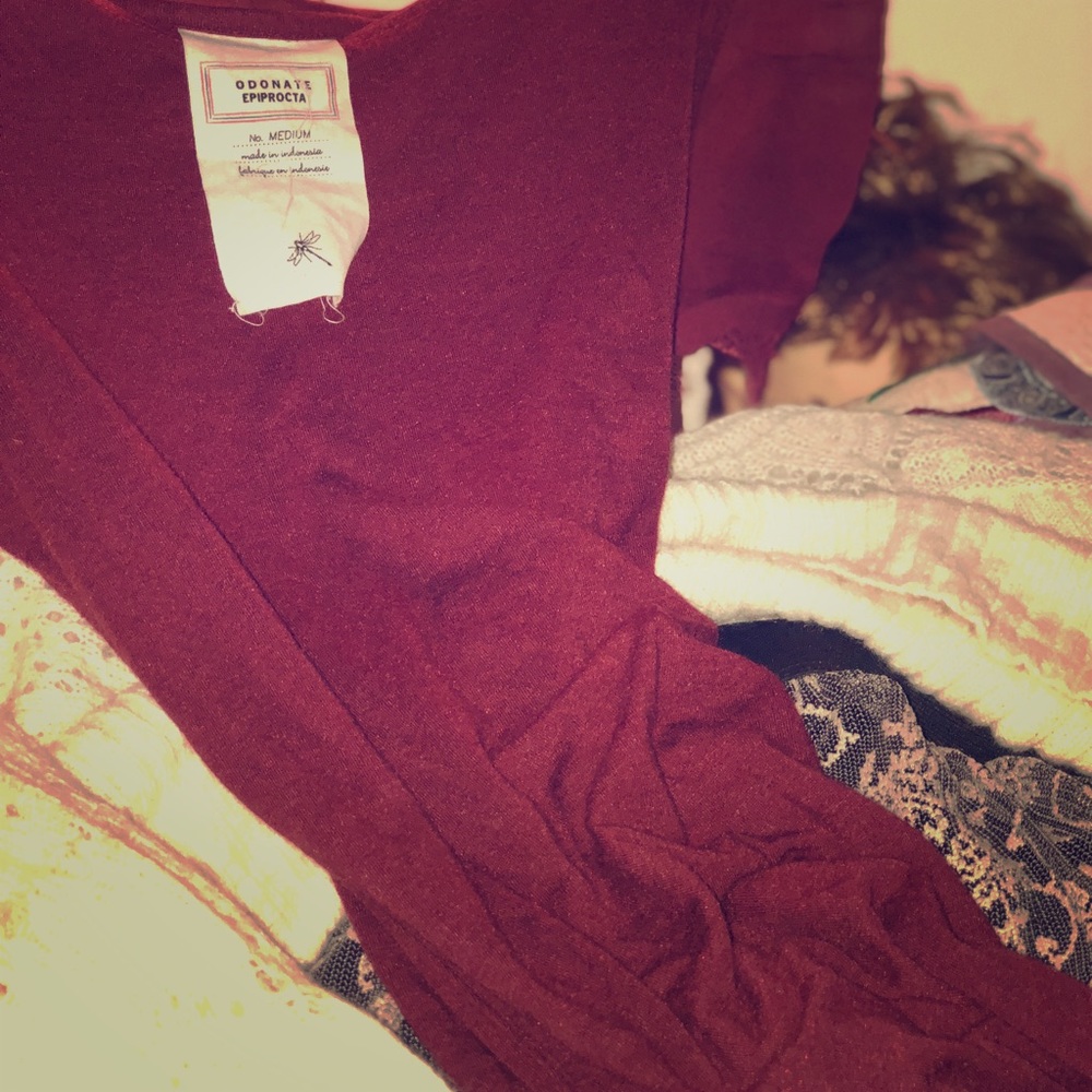 Anthropologie Shirt with lace sleeves